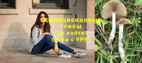 прущая мука Пересвет
