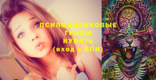 ГАЛЛЮЦИНОГЕННЫЕ ГРИБЫ Карпинск