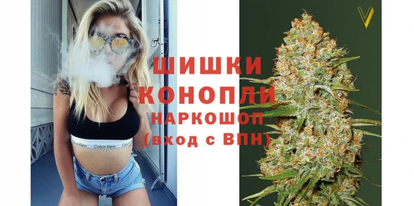 ГАЛЛЮЦИНОГЕННЫЕ ГРИБЫ Карпинск