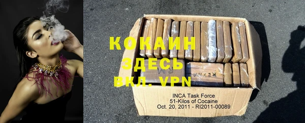 ГАЛЛЮЦИНОГЕННЫЕ ГРИБЫ Карпинск