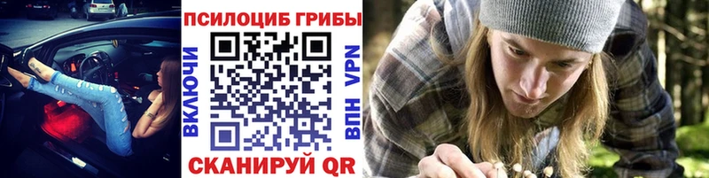 Галлюциногенные грибы Psilocybine cubensis  гидра маркетплейс  Енисейск 