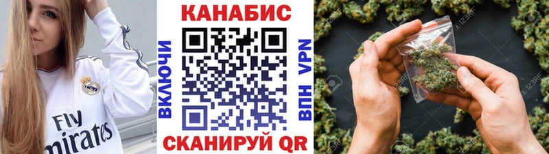 Каннабис гибрид  Енисейск 
